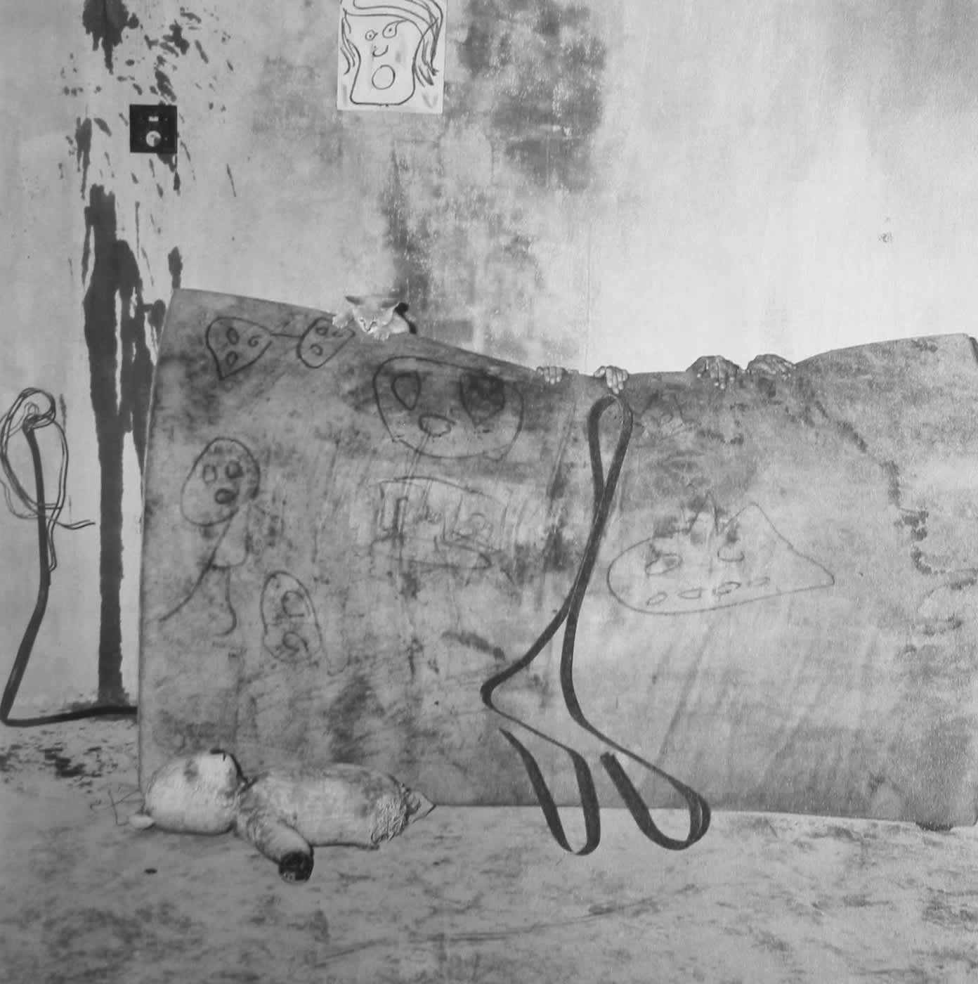 Roger Ballen, Rejection, 2003