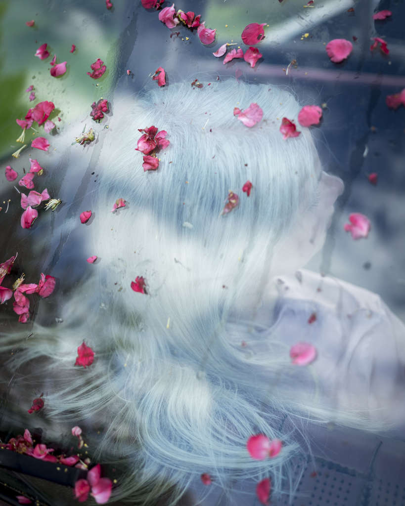 Cig Harvey, Maggie and the Rose Hip Petals, Rockport, Maine, 2018