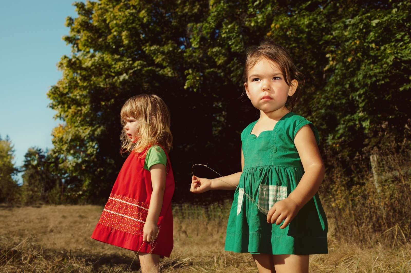 Holly Andres, Witness #2, 2011