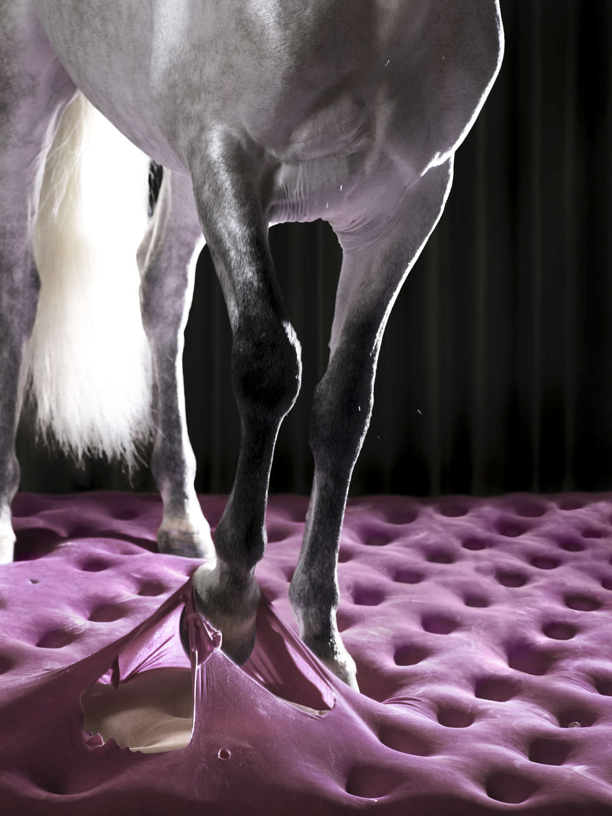 Edith Maybin, Untitled #17, The Conversation Document, 2008