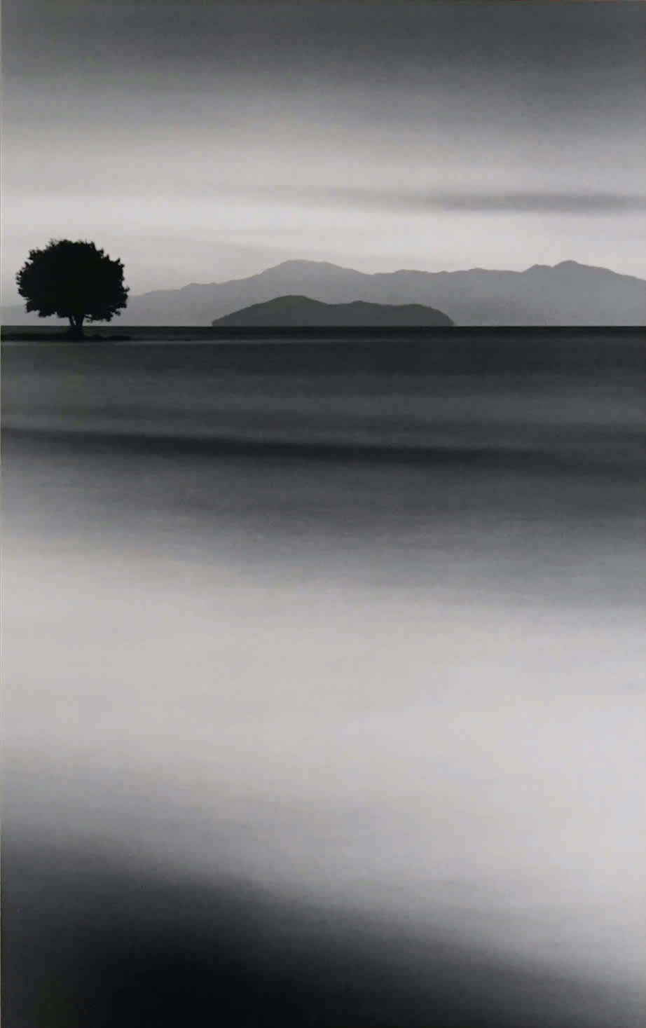 Biwa Lake Tree, Omi, Honshu, Japan, 2001