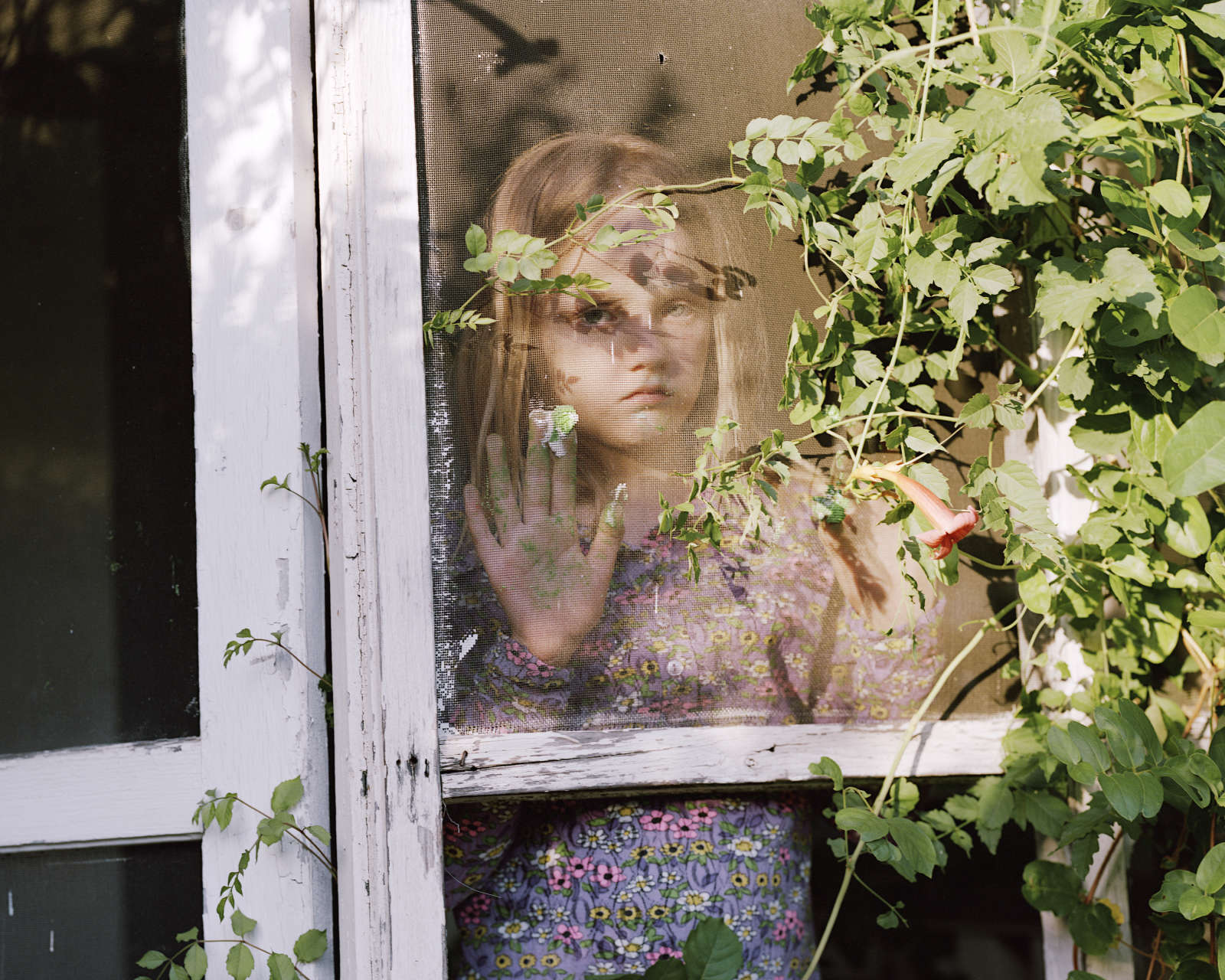 Susan Worsham, Icing Fingers, 2014