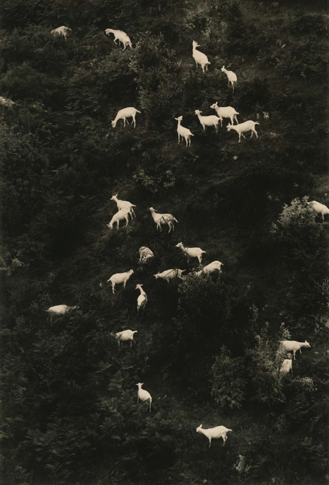 Yamamoto Masao, La Vie Simple #5022, 2021