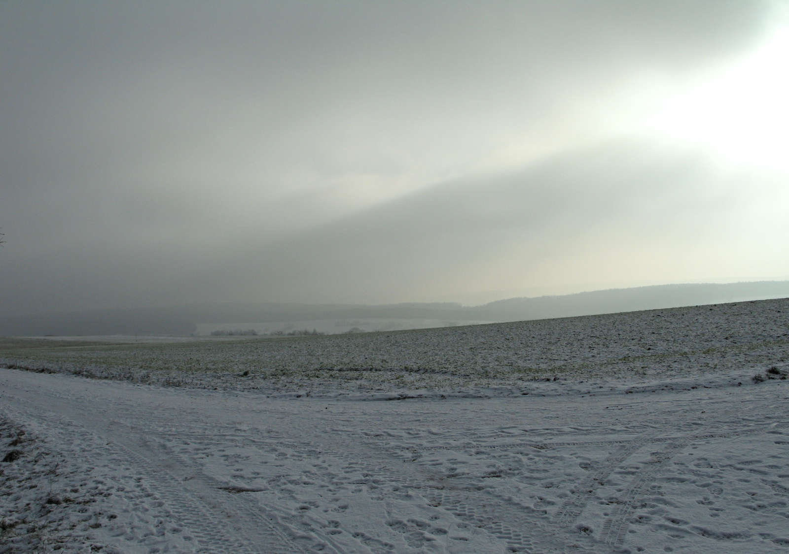 Elton John AIDS Foundation Photography Portfolio One, Thomas Struth: Odenwald, 2006