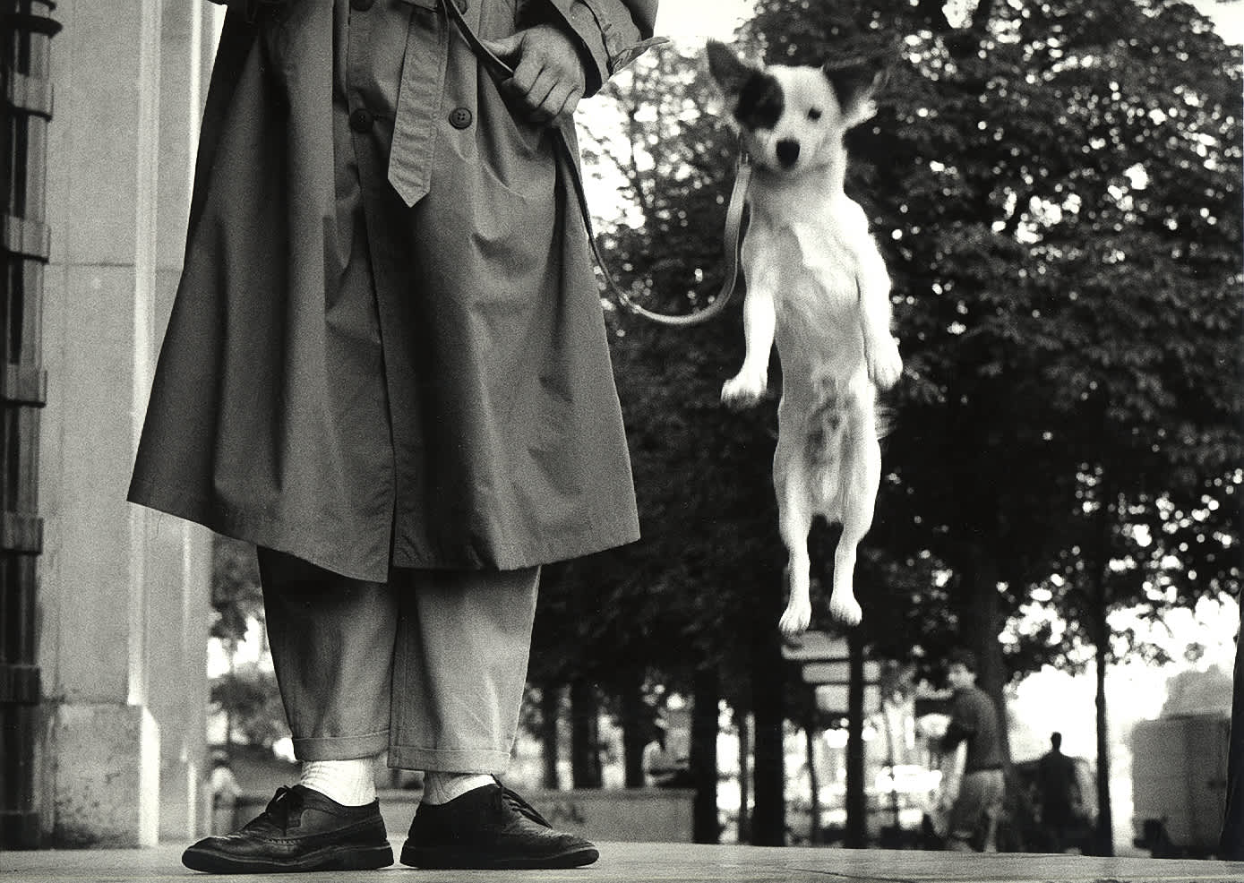 Elliott Erwitt, Paris, France (Dog Jumping), 1989