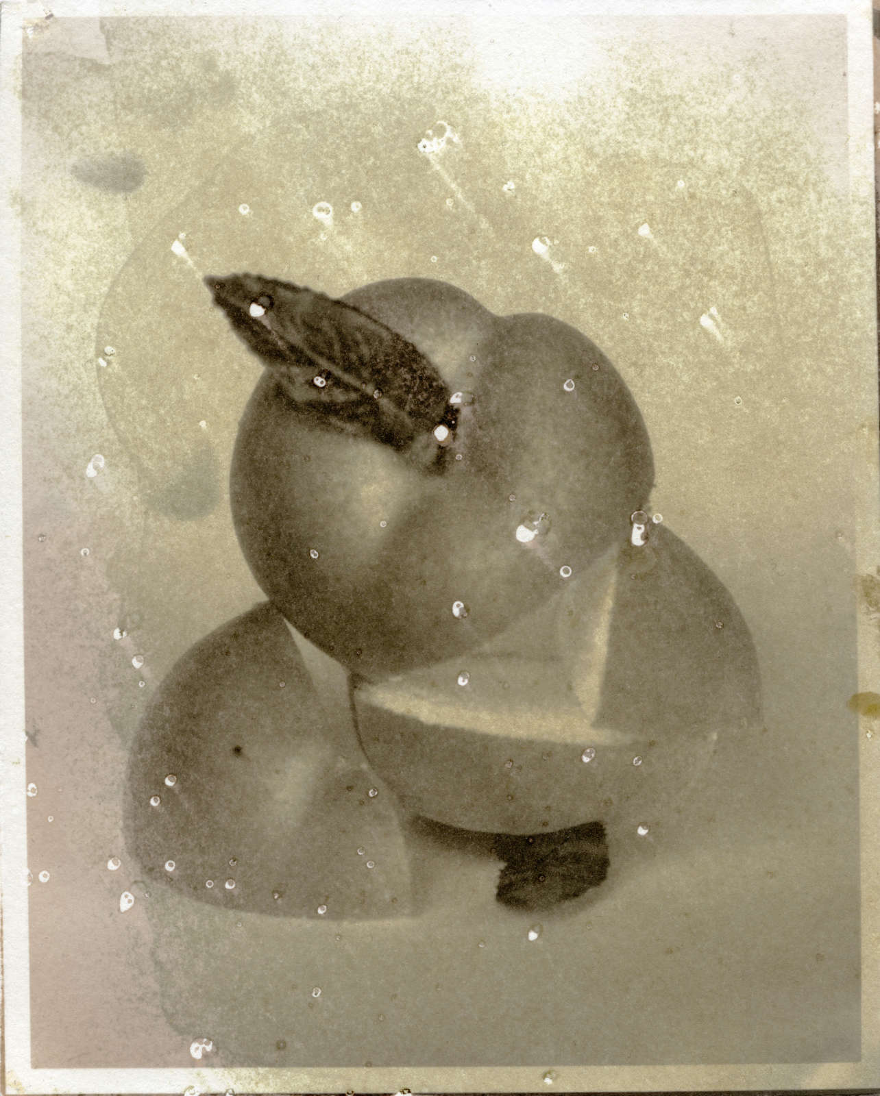 Matthew Brandt, Peaches, 4B, 2017