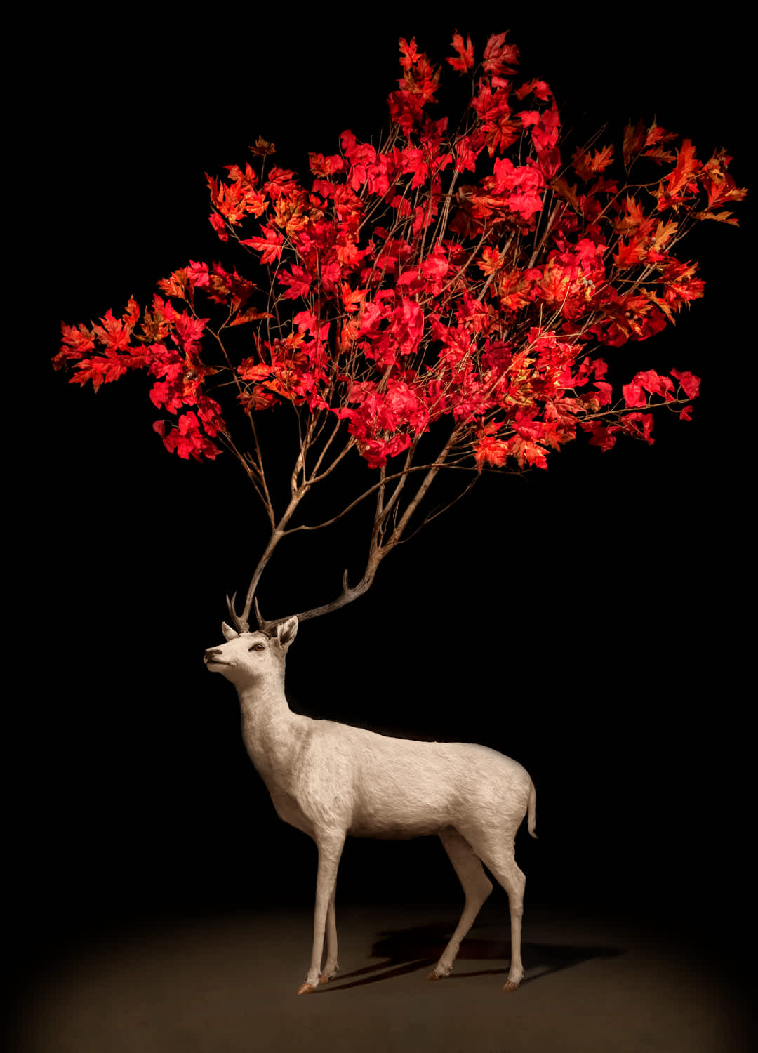 Todd Murphy, Scarlett Branch Stag, 2017