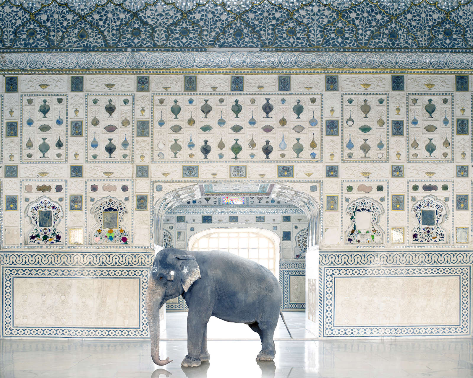 Karen Knorr, Temple Servant, Amber Fort, Jaipur, 2014