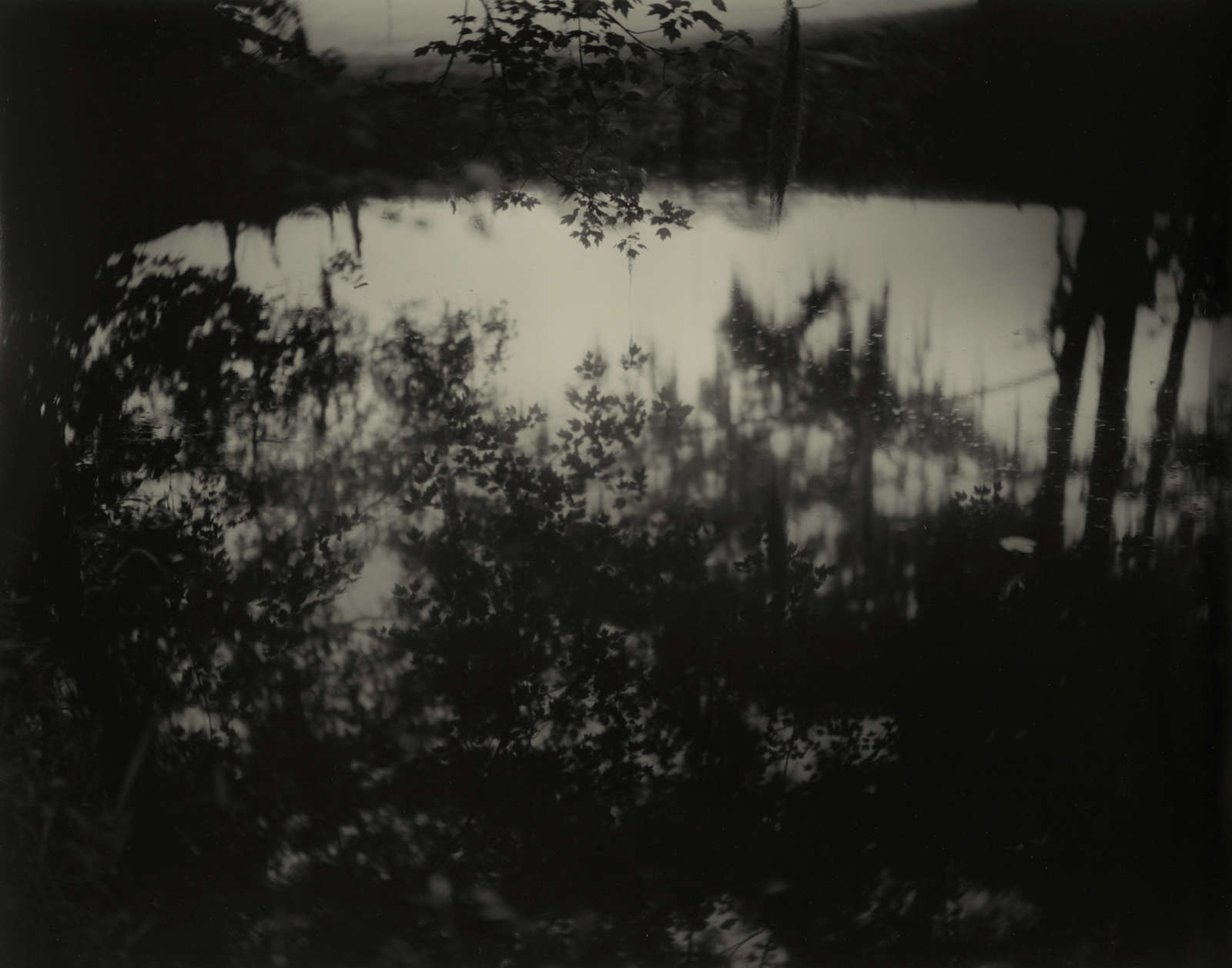 Deep South, Untitled (Avery Island II), 1998