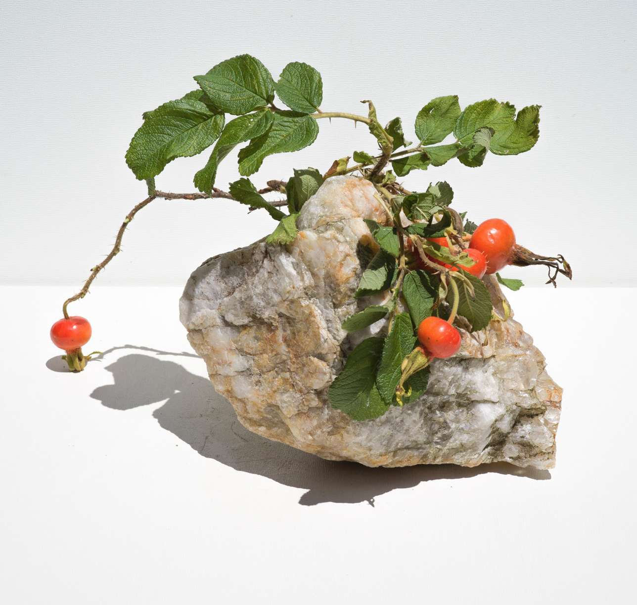 Carolyn Carr, Looking Again