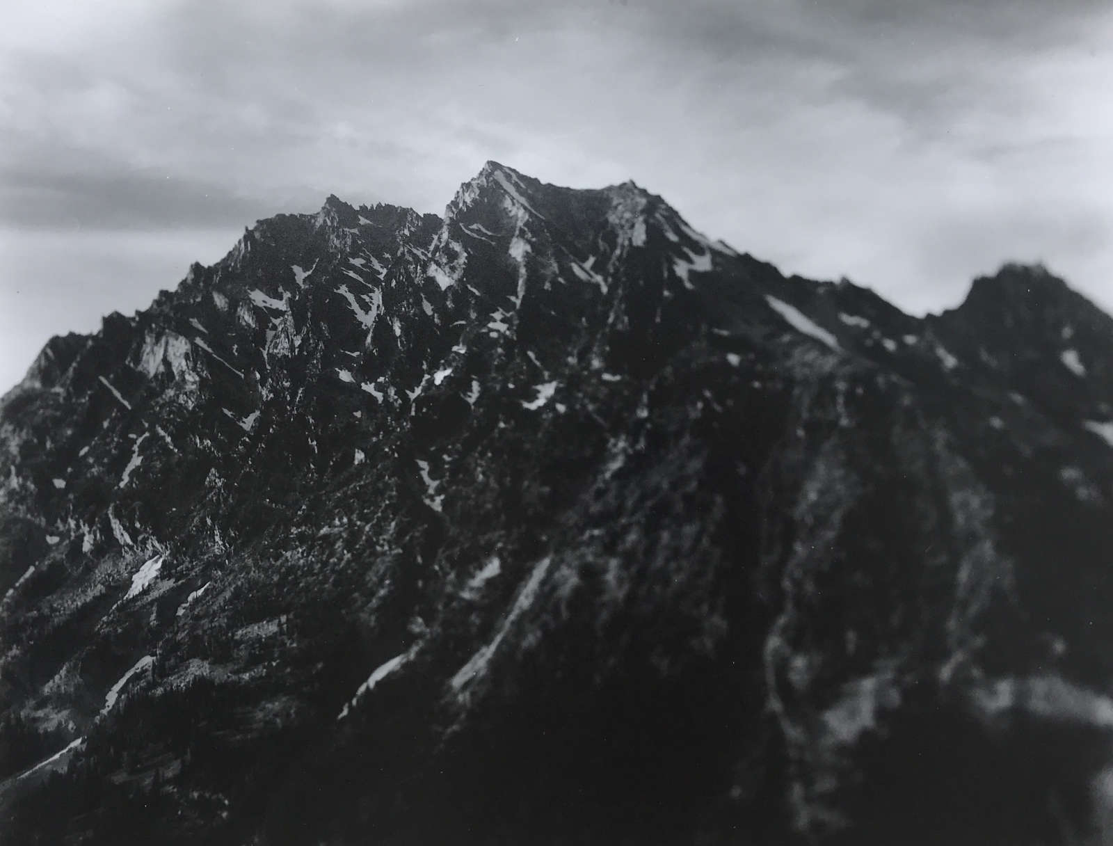 Tommy Nease, Stuart, 2017