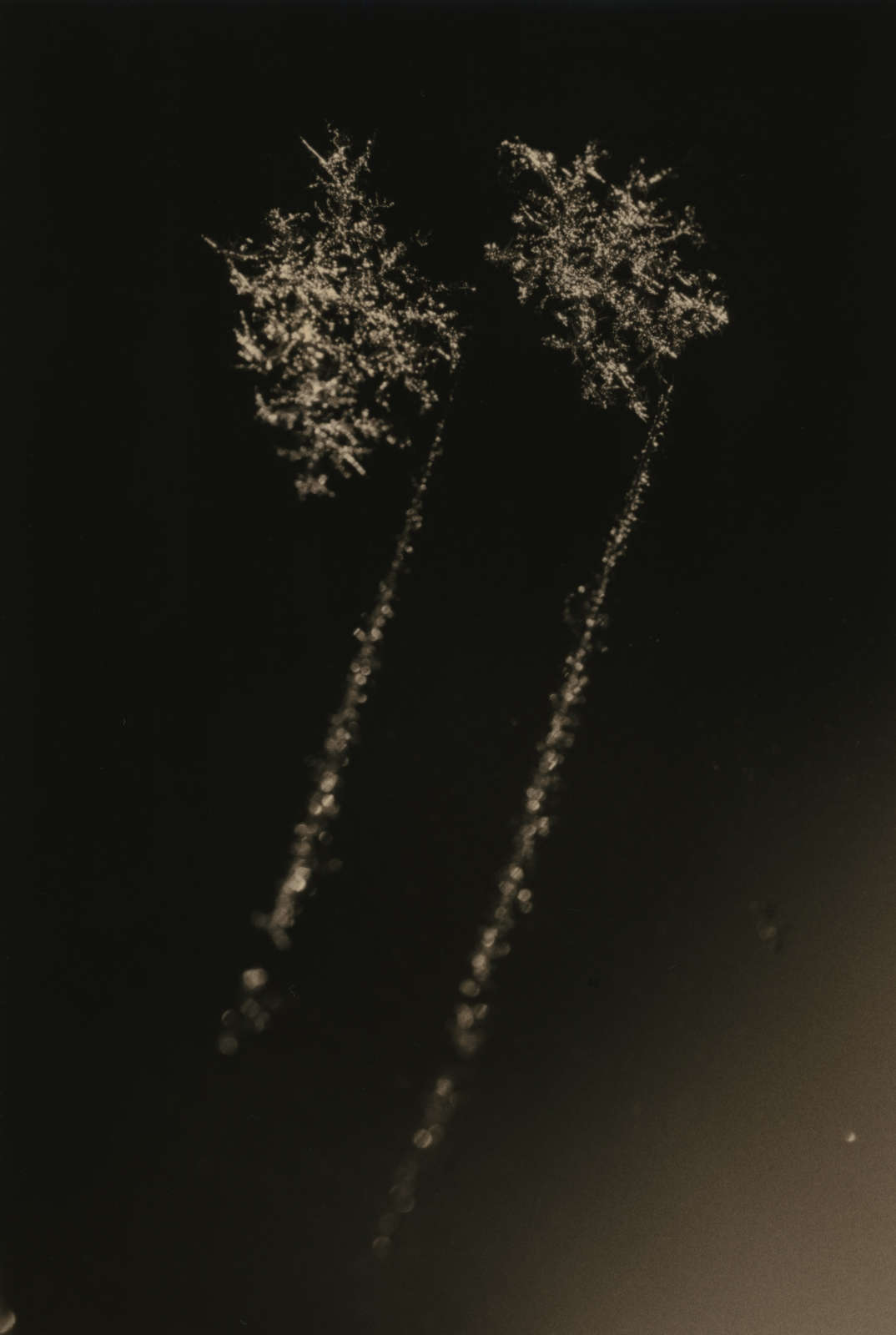 Yamamoto Masao, Kawa=Flow #1636