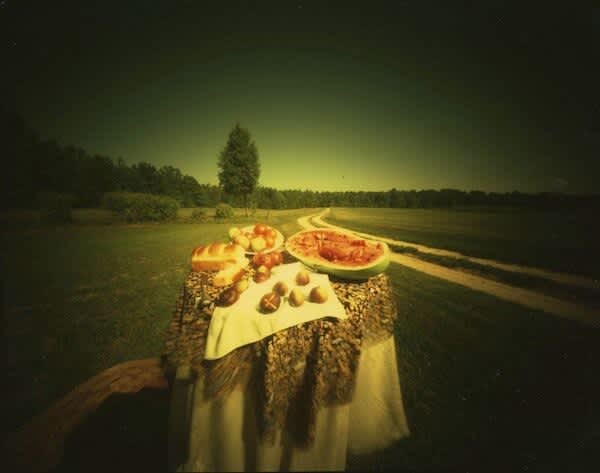 Willie Anne Wright, Still Life with Richard's Road #5, 1981