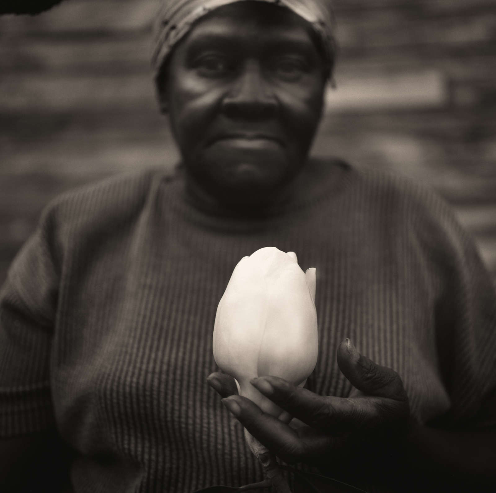 Jack Spencer, Gussie's Magnolia, LaGrange, TN, 1997