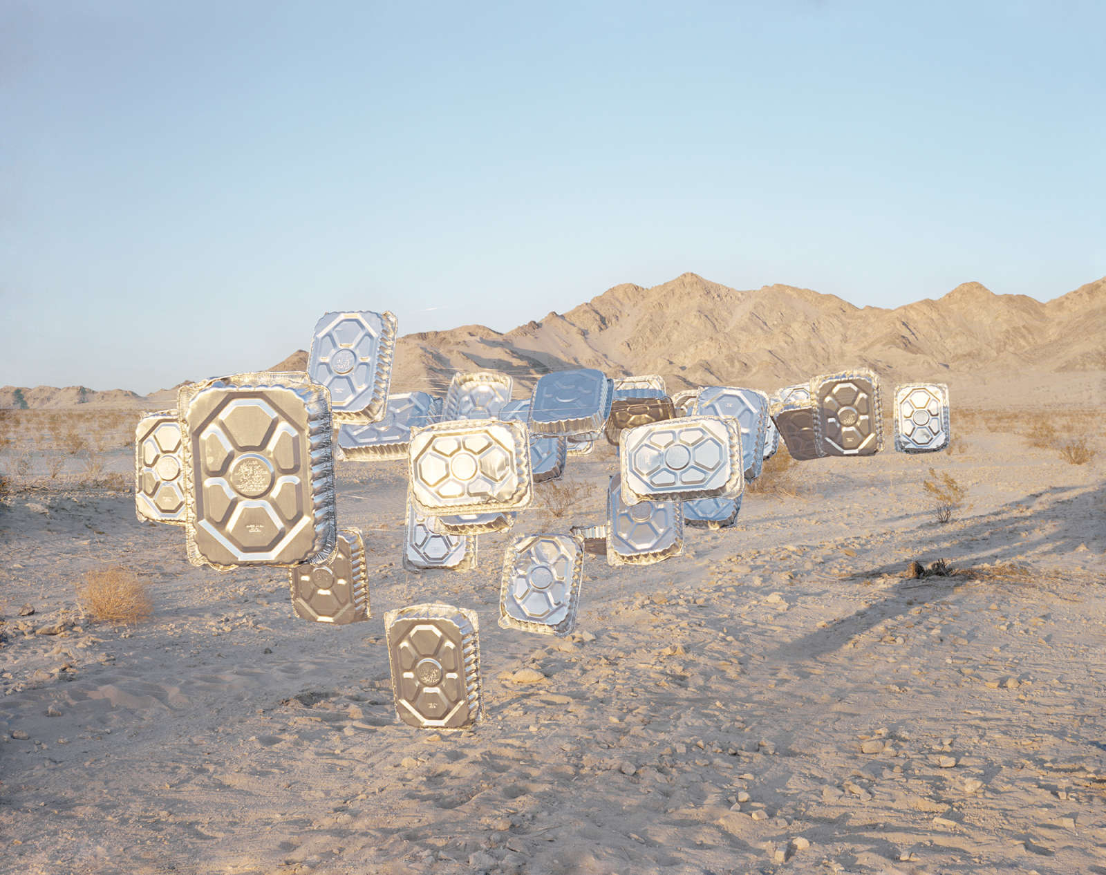 Thomas Jackson, Turkey Roasters no. 1, Mojave Desert, California, 2018