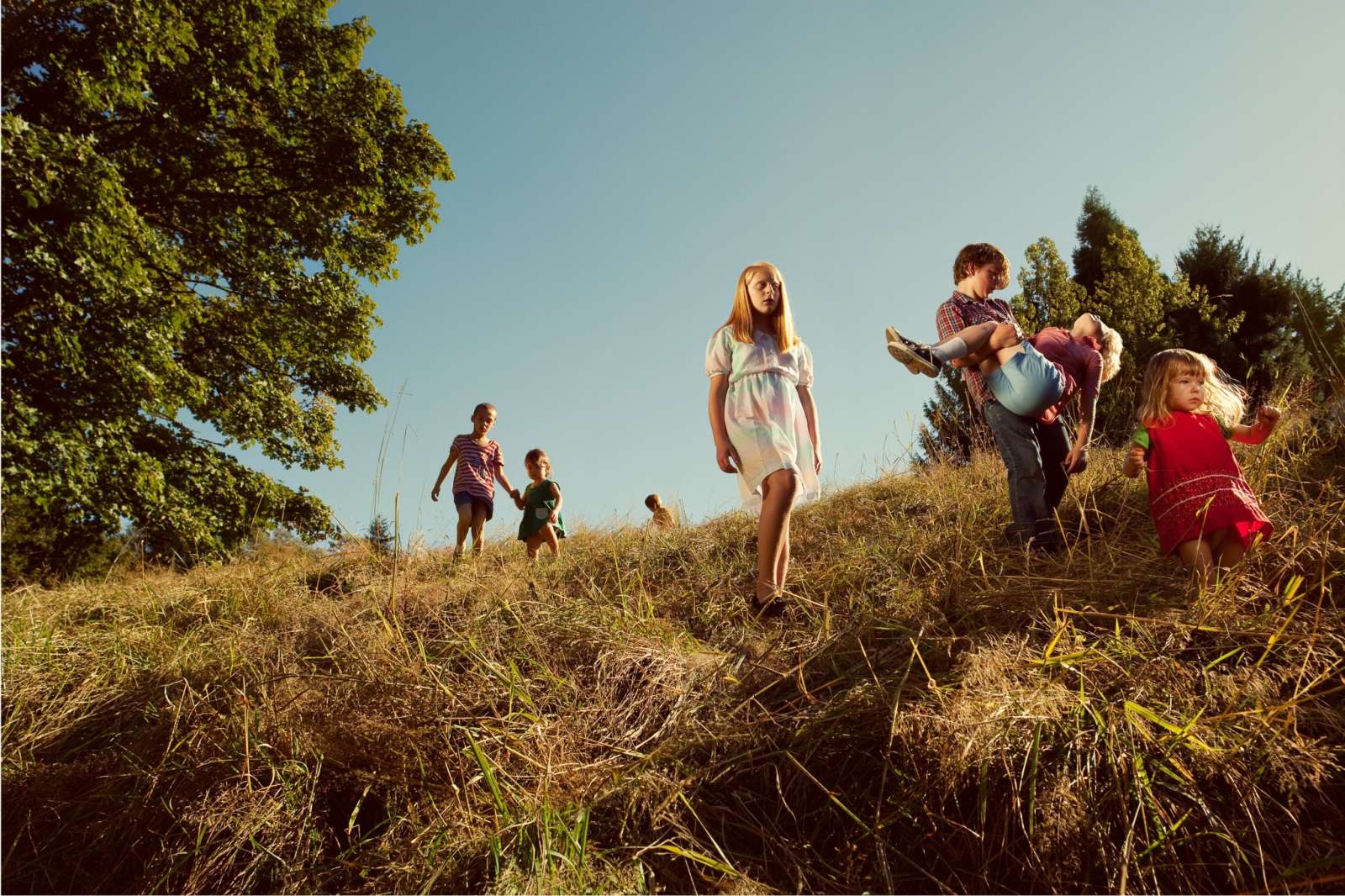 Holly Andres, Children Descending Spring Hill, from The Fall of Spring Hill, 2011