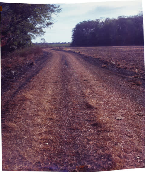 John Chiara, Saint Paul at Austin, 2017