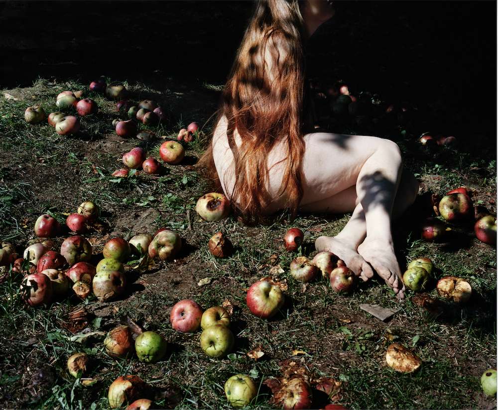 Jocelyn Lee, Jenna and the Fallen Apples, 2016