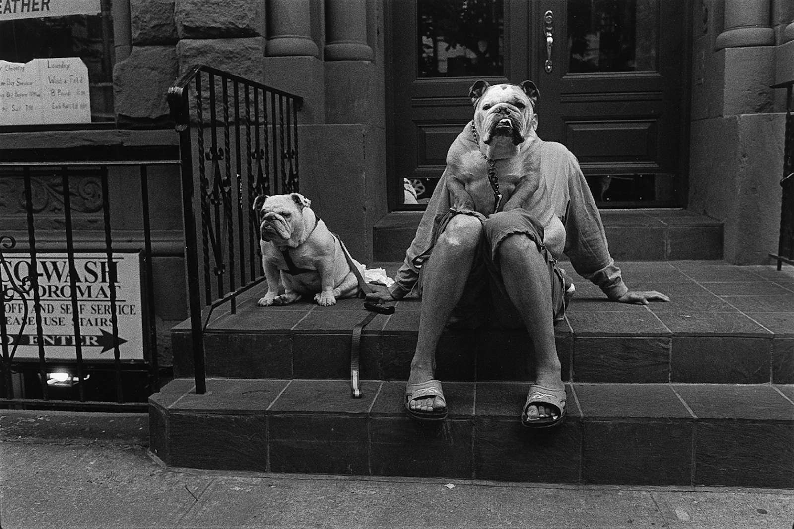 Elliott Erwitt, New York City, 2000