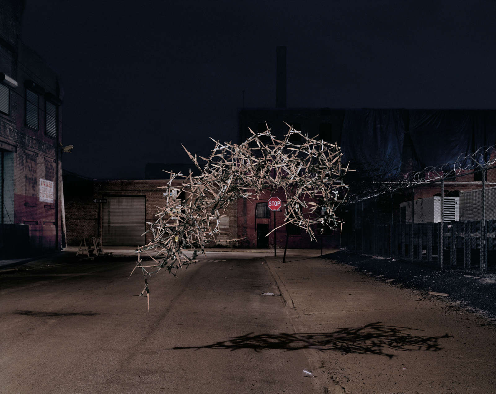 Thomas Jackson, Broken Pallet, Brooklyn, New York, 2011