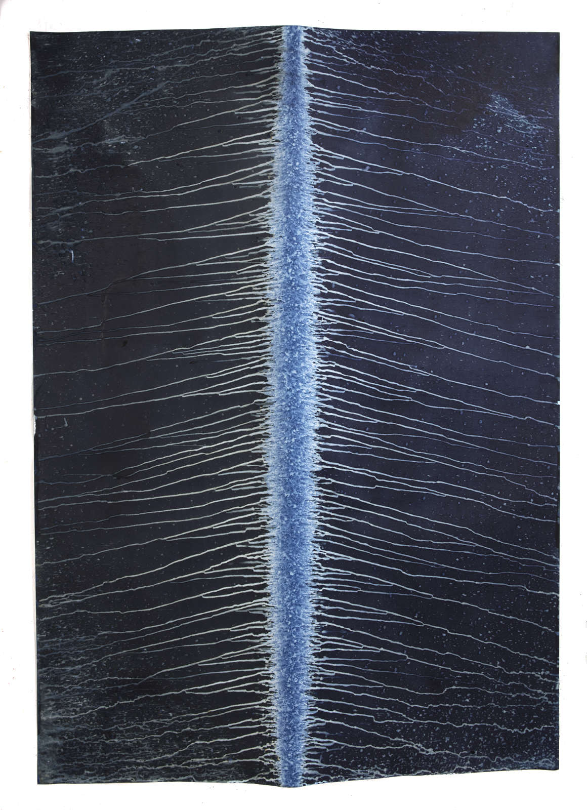 Meghann Riepenhoff, Ecotone #320 (Bainbridge Island, WA 02.27.18 + 03.02.18, Rain Falls in Every Direction), 2018