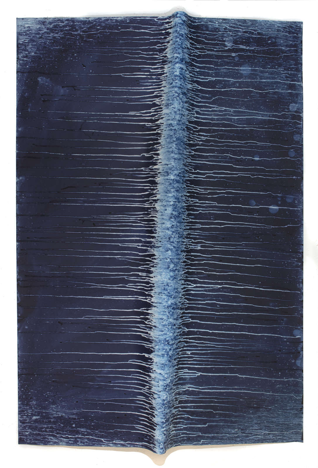 Meghann Riepenhoff, Ecotone #348 (Bainbridge Island, WA, Exposure Date Unknown, Draped on Windfall Limb) , 2018