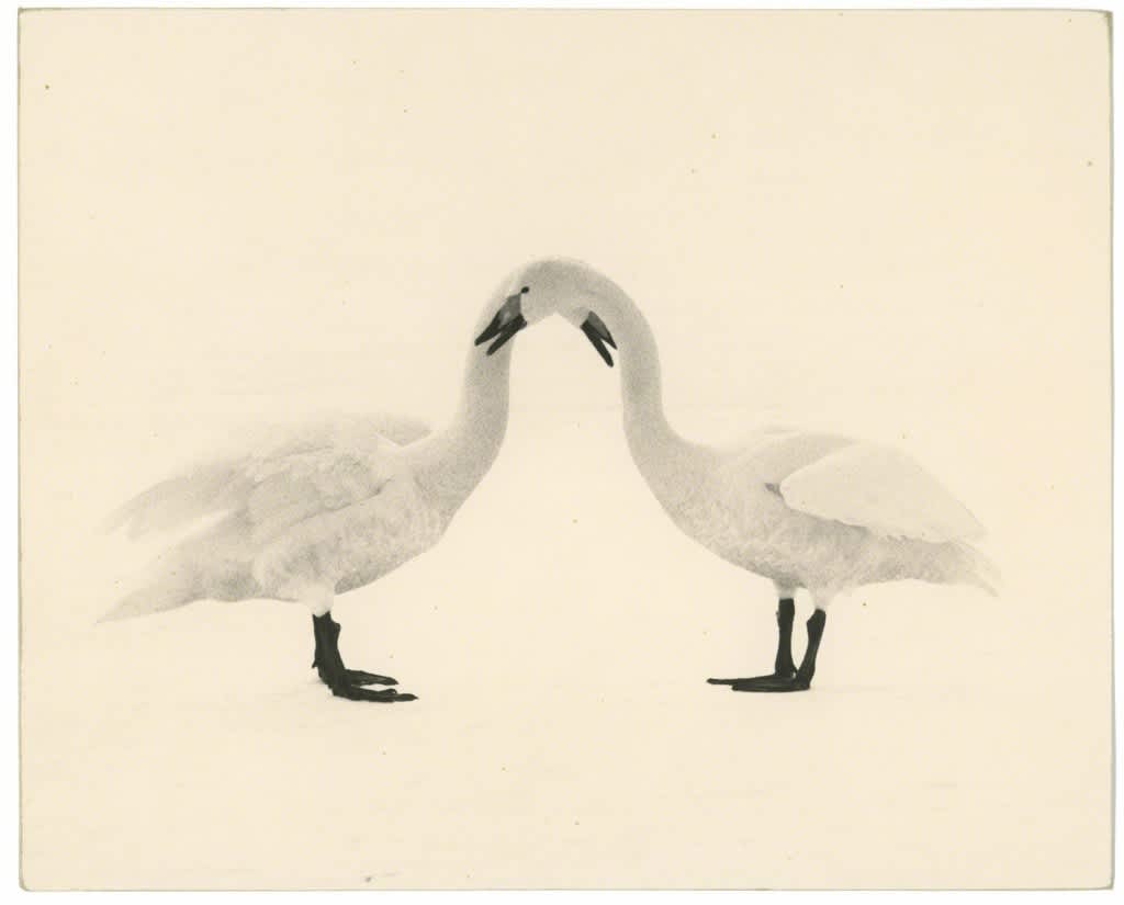 Yamamoto Masao, Kawa=Flow #1658