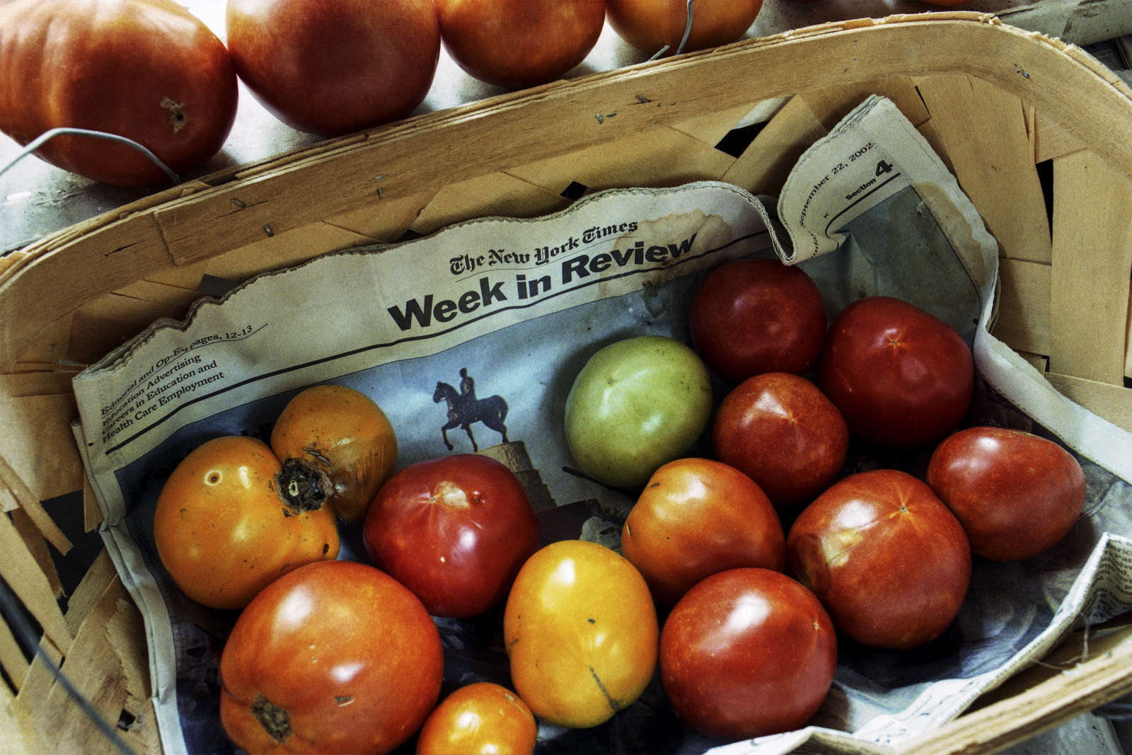Langdon Clay, New York Times Week in Review with Ripening Tomatoes, 2003