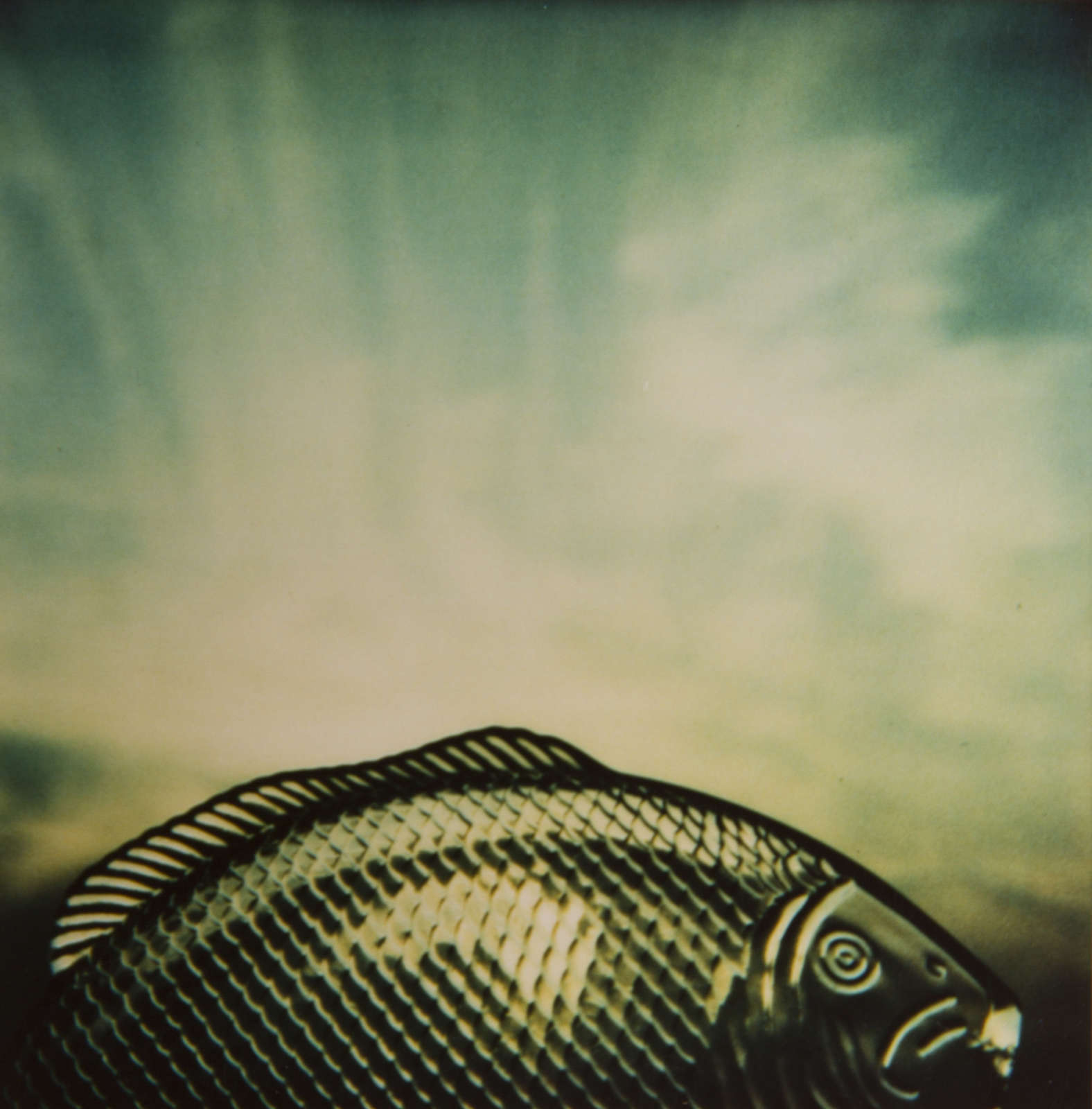 André Kertész, #2 , 1980