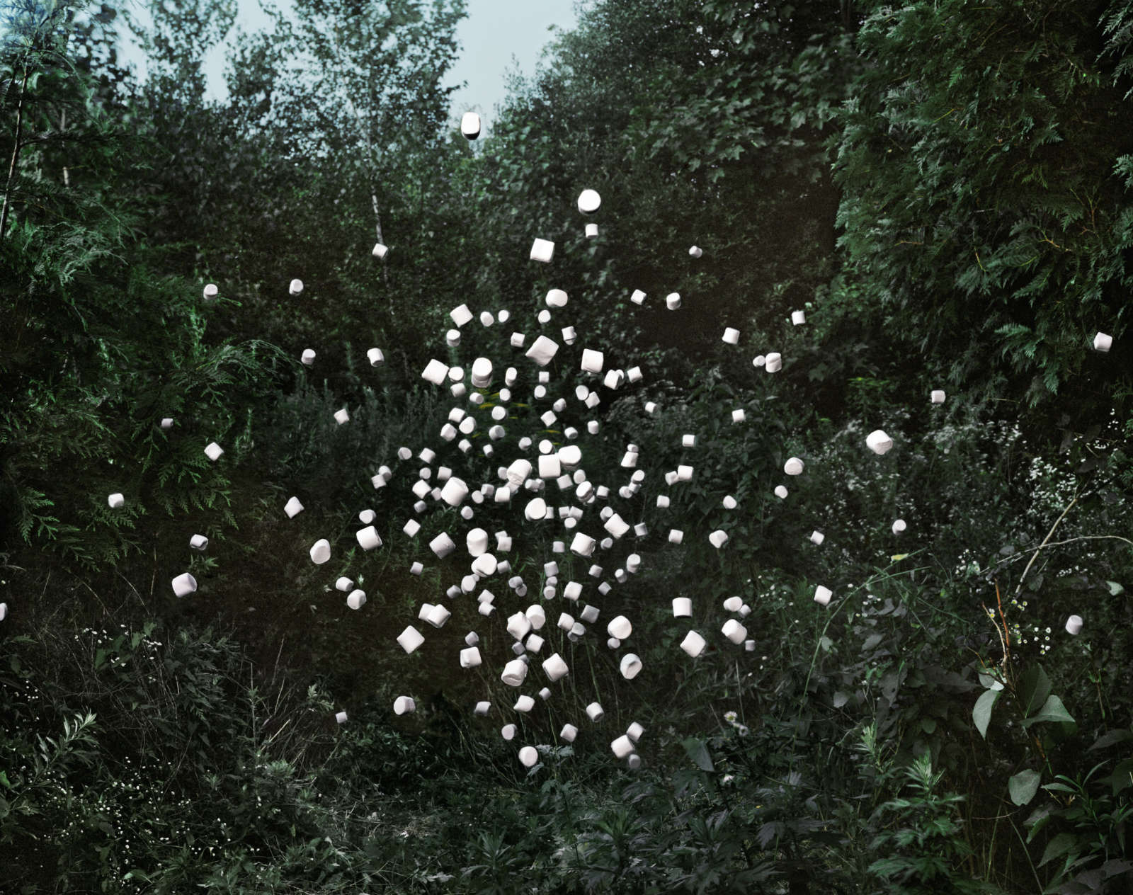 Thomas Jackson, Marshmallows no. 1, Seekonk, Massachussetts, 2012
