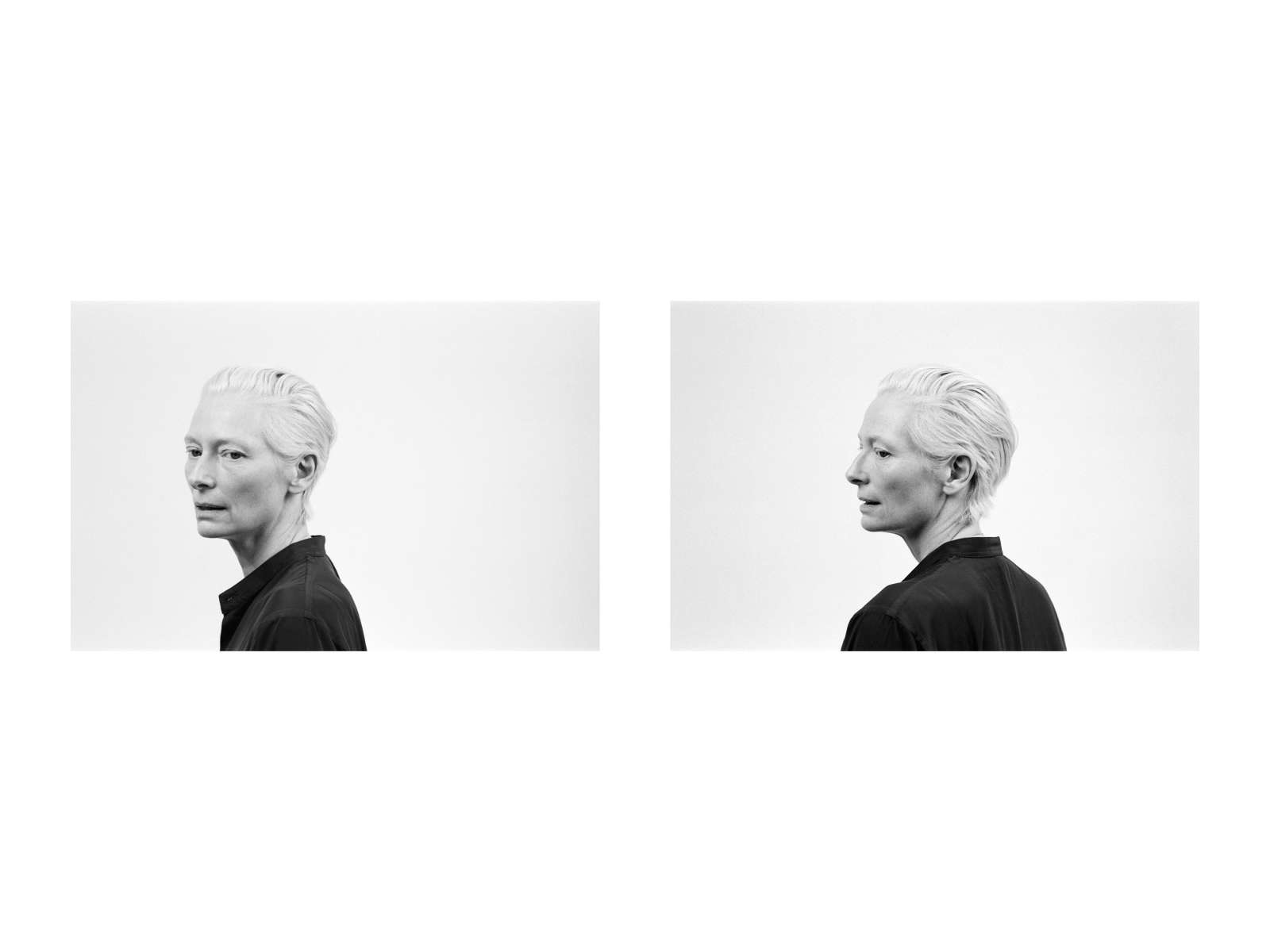 Michael Stipe, Tilda Diptych, 2024