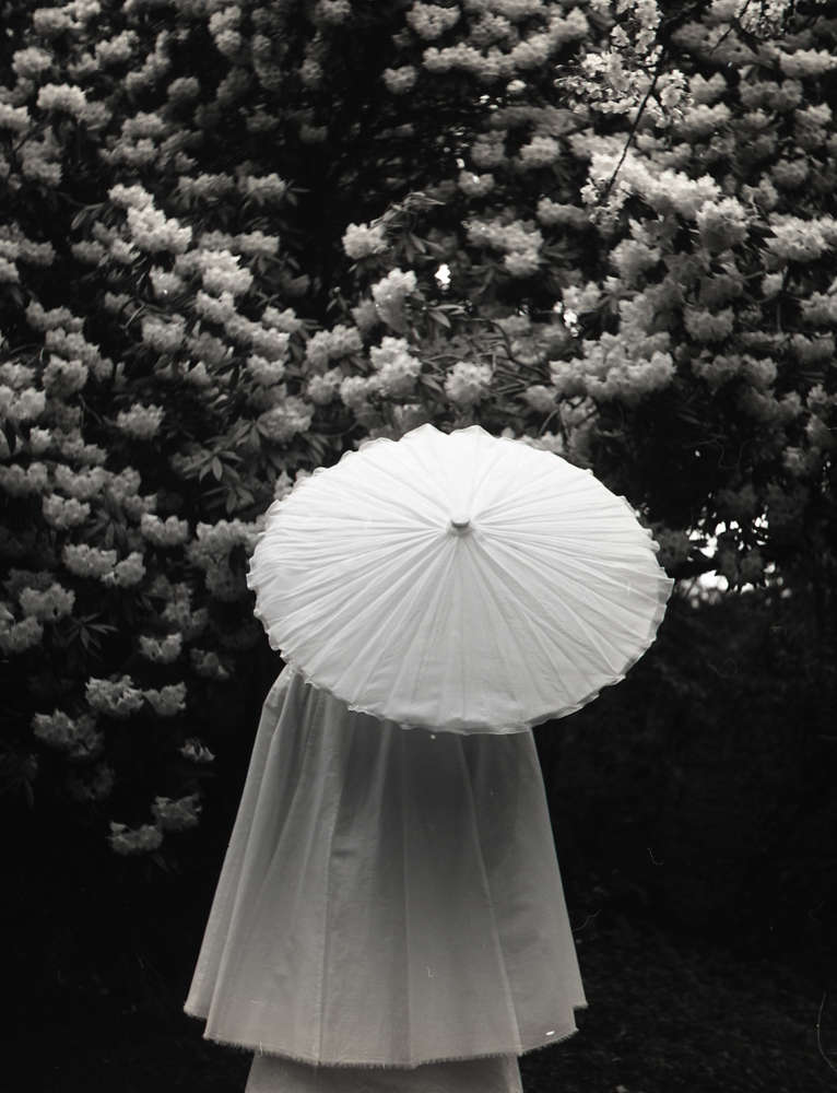 Tommy Nease, Cherry, 2016