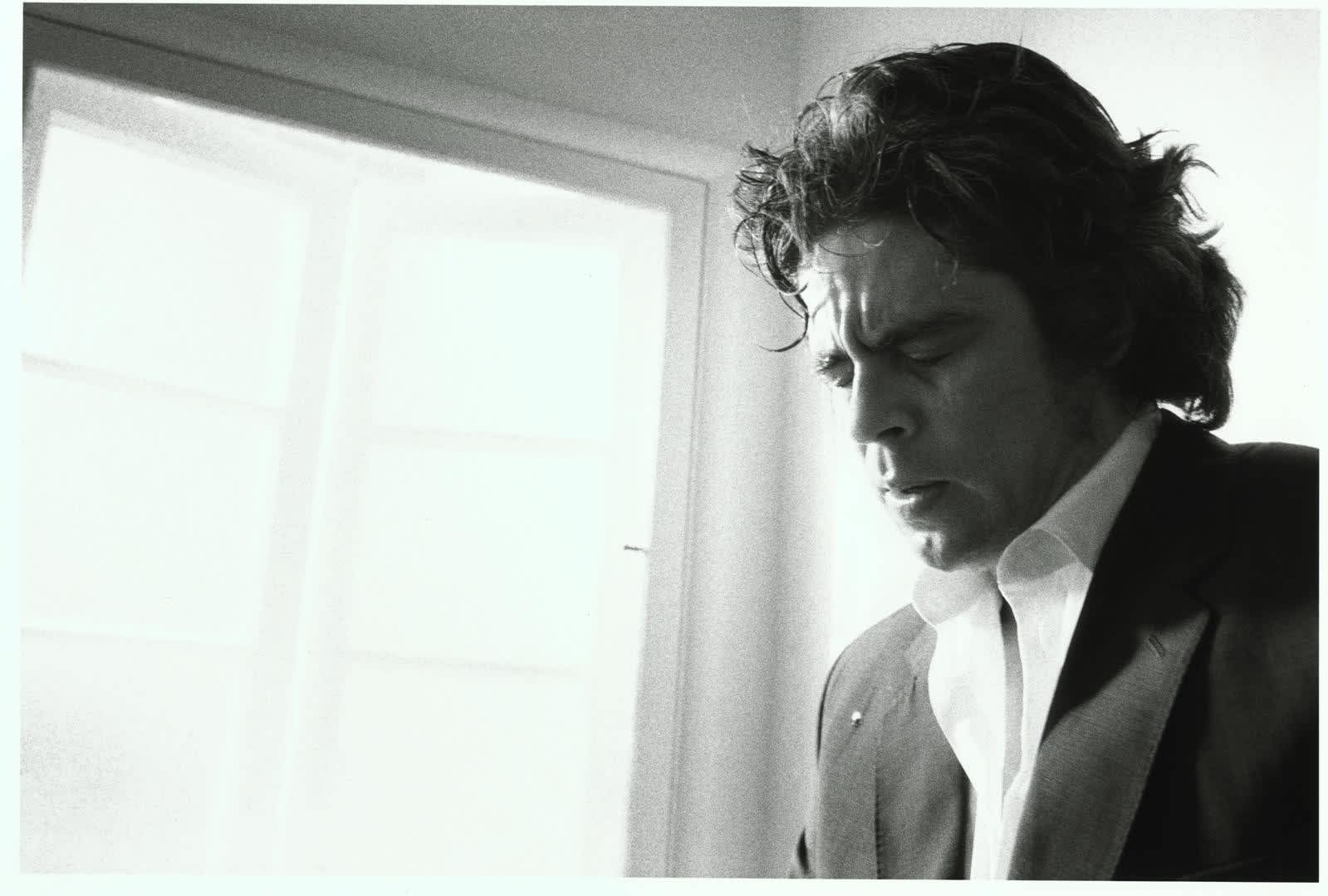 Benicio Del Toro, 2002