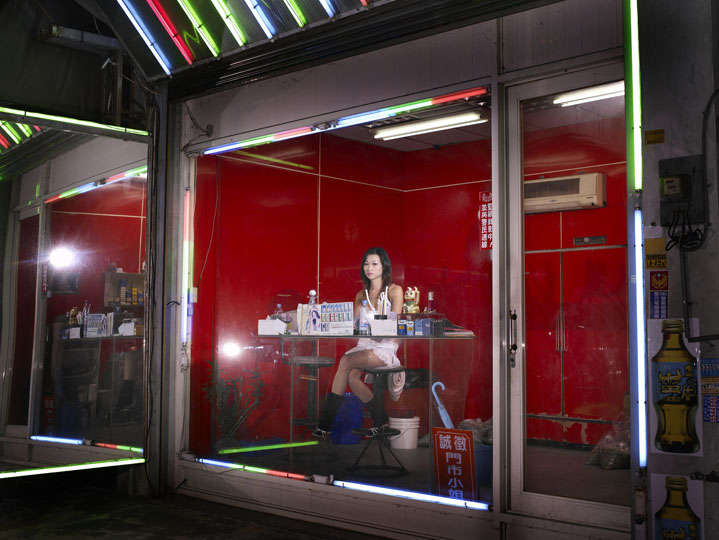 Untitled, Binran Series, Plate 2, 2007