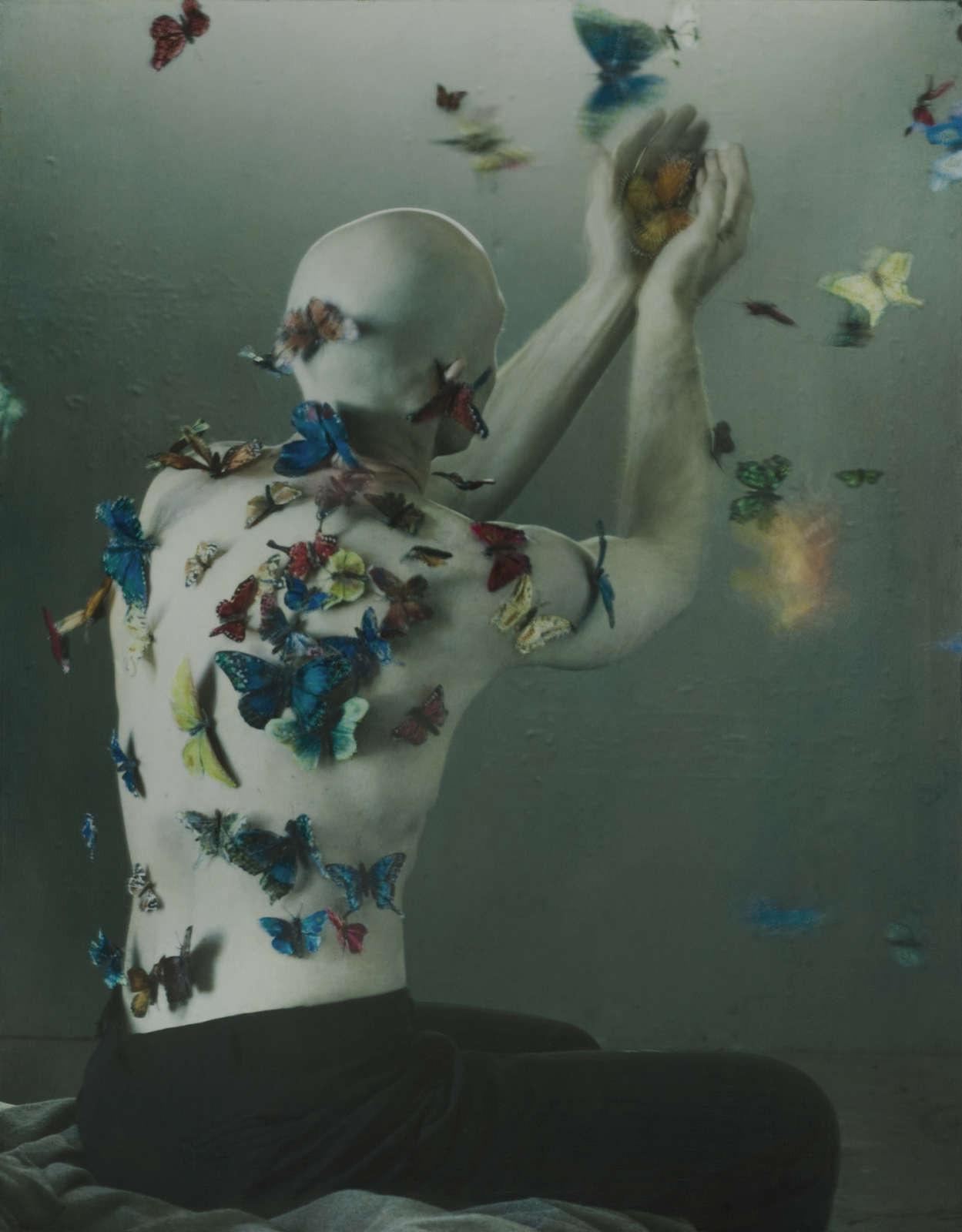 Mourning Cloak II, 2006