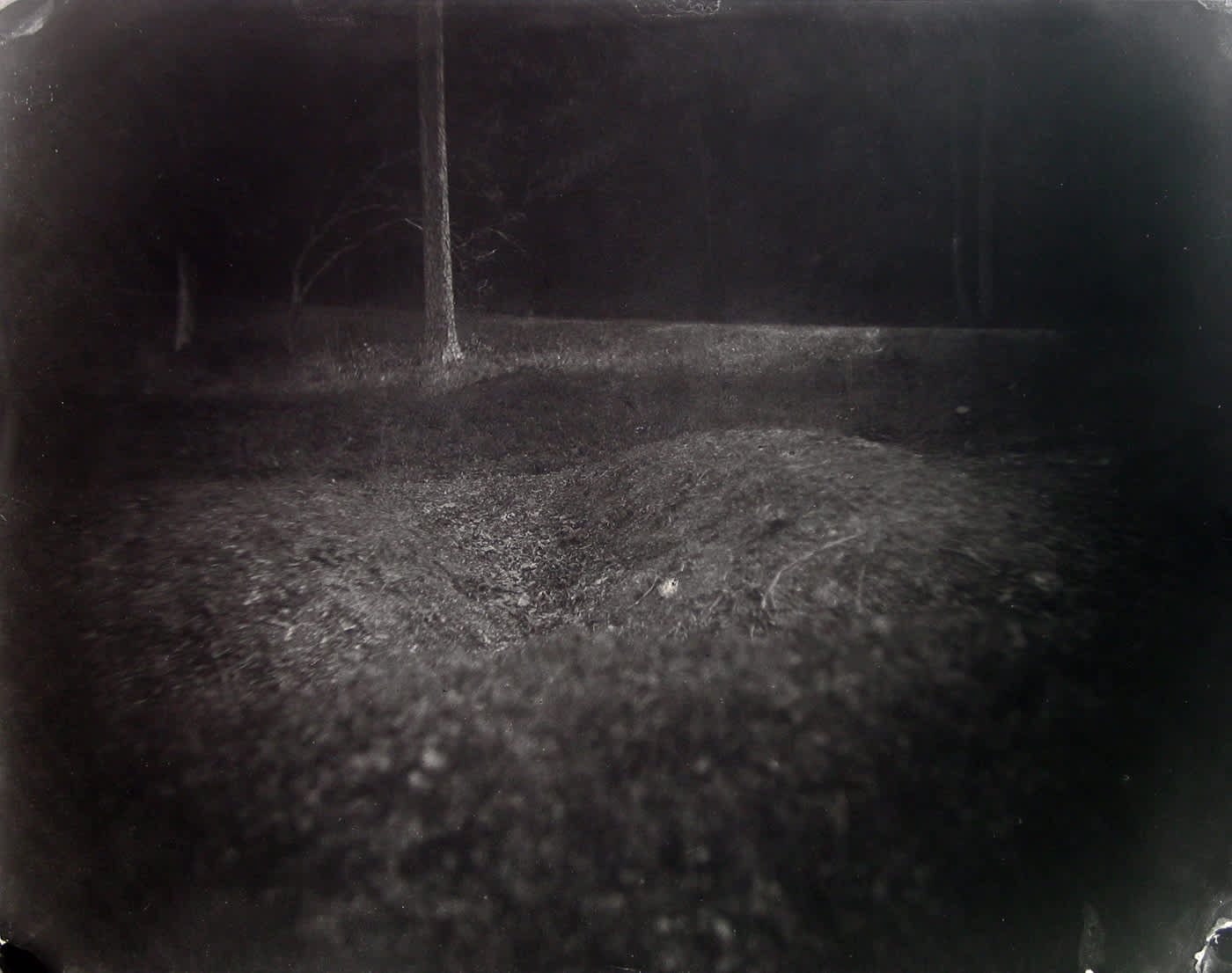 Sally Mann, Untitled (Antietam #14), 2000
