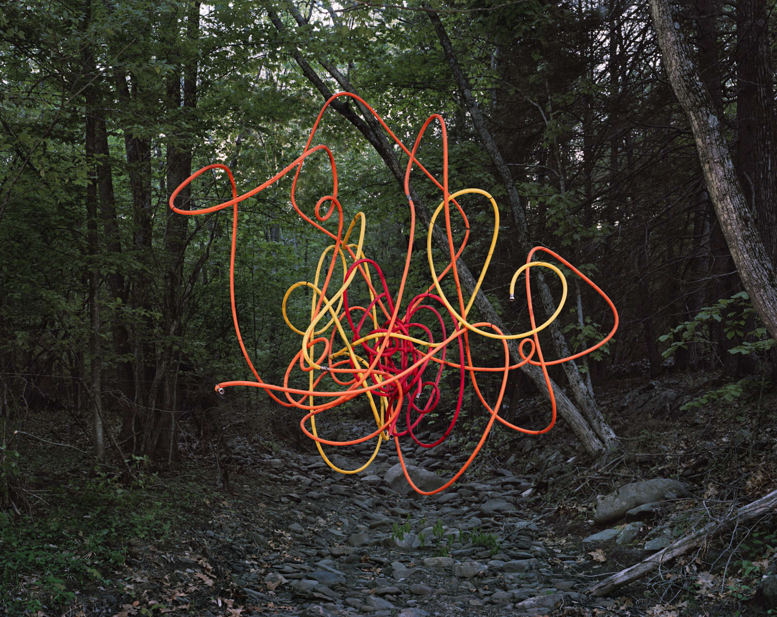 Thomas Jackson, Garden Hose no. 1, Accord, New York, 2013