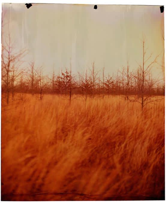 County Line at North New Africa, 2014