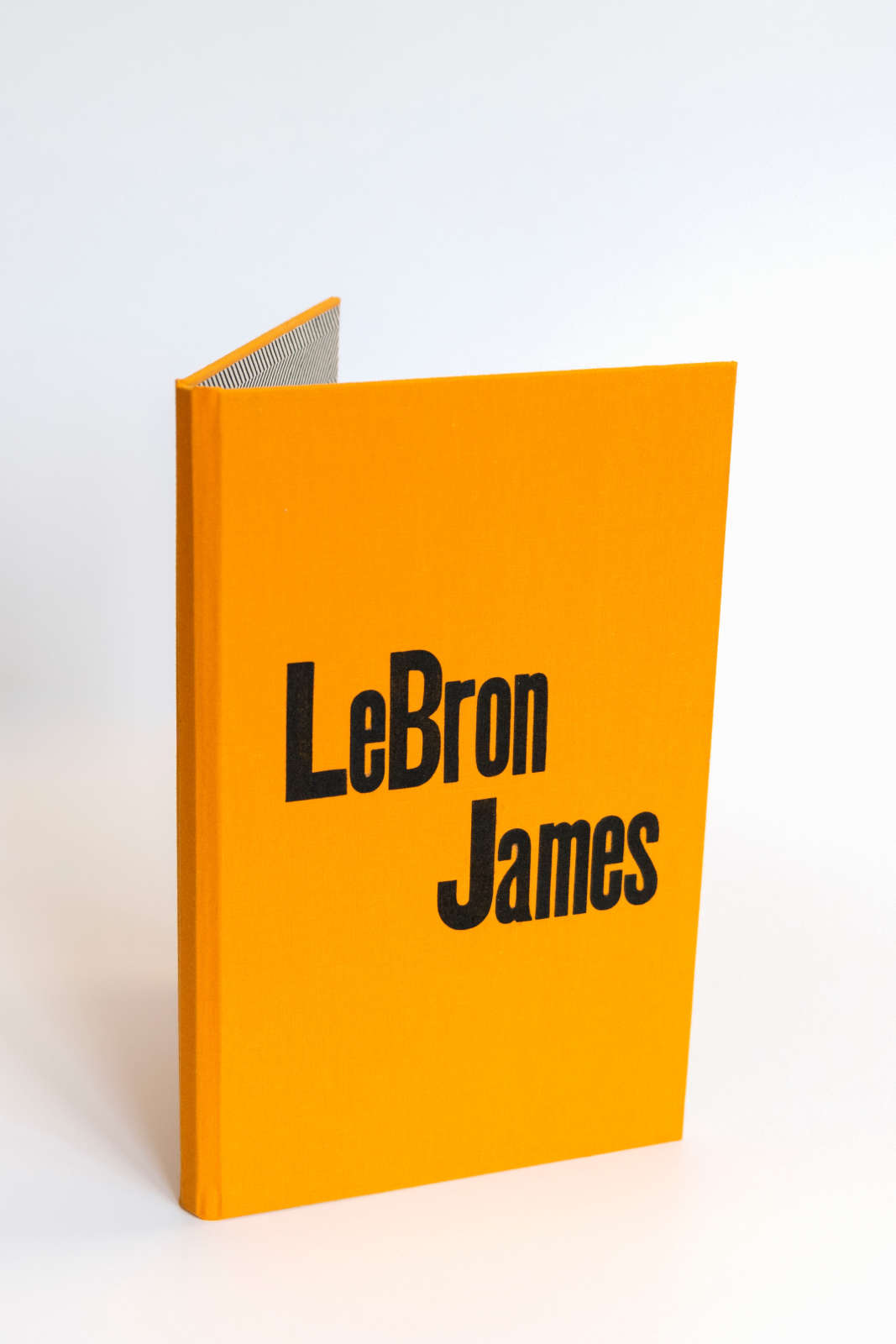 LeBron James, Book Cover, 2020