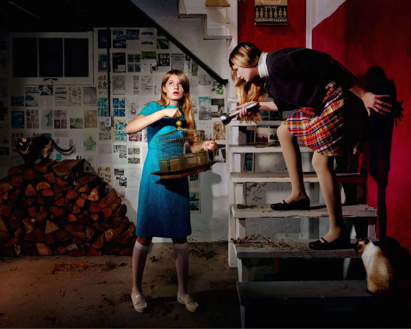 Holly Andres, The Missing Bird, 2008