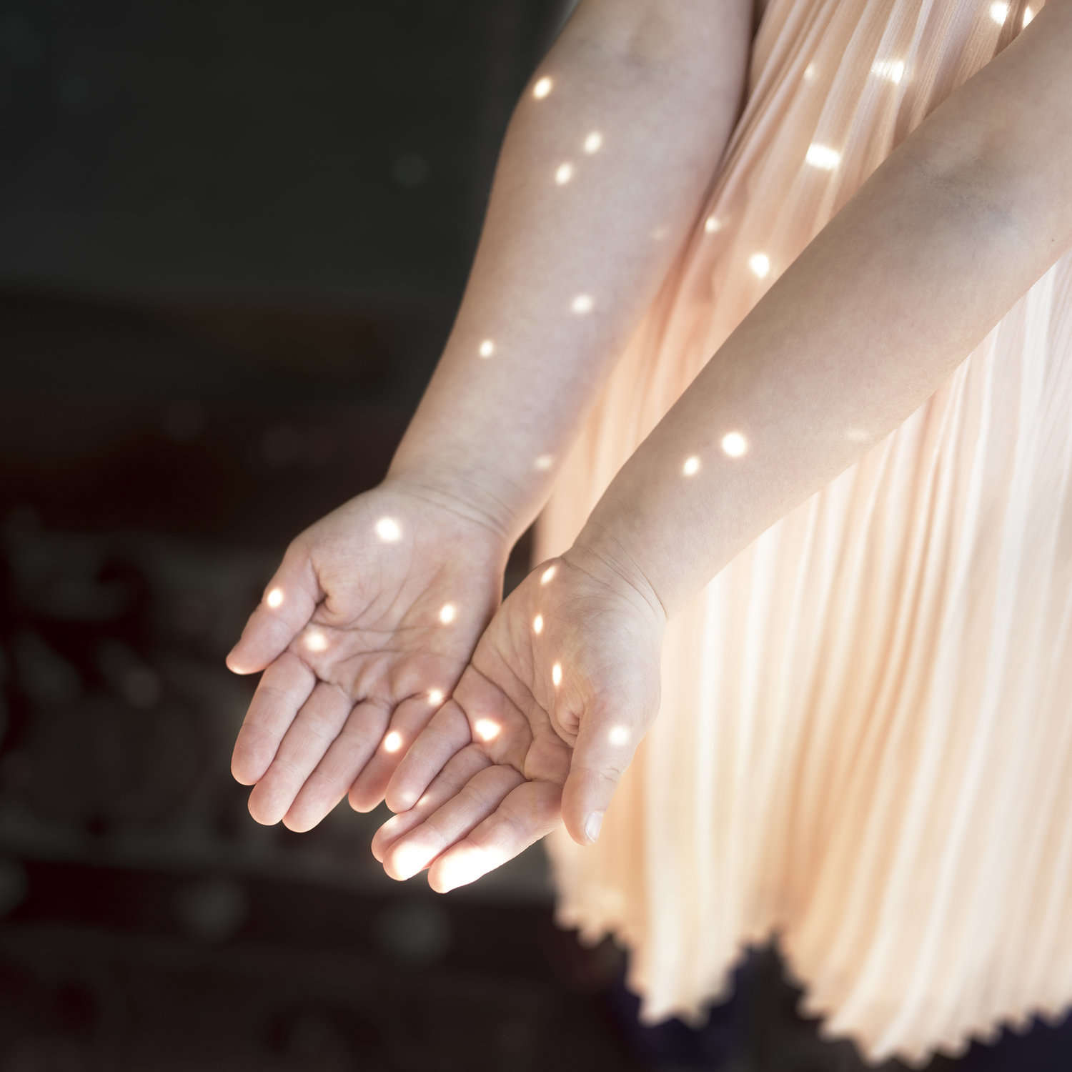 Cig Harvey, Scout with Reflections, Rockport, Maine, 2016