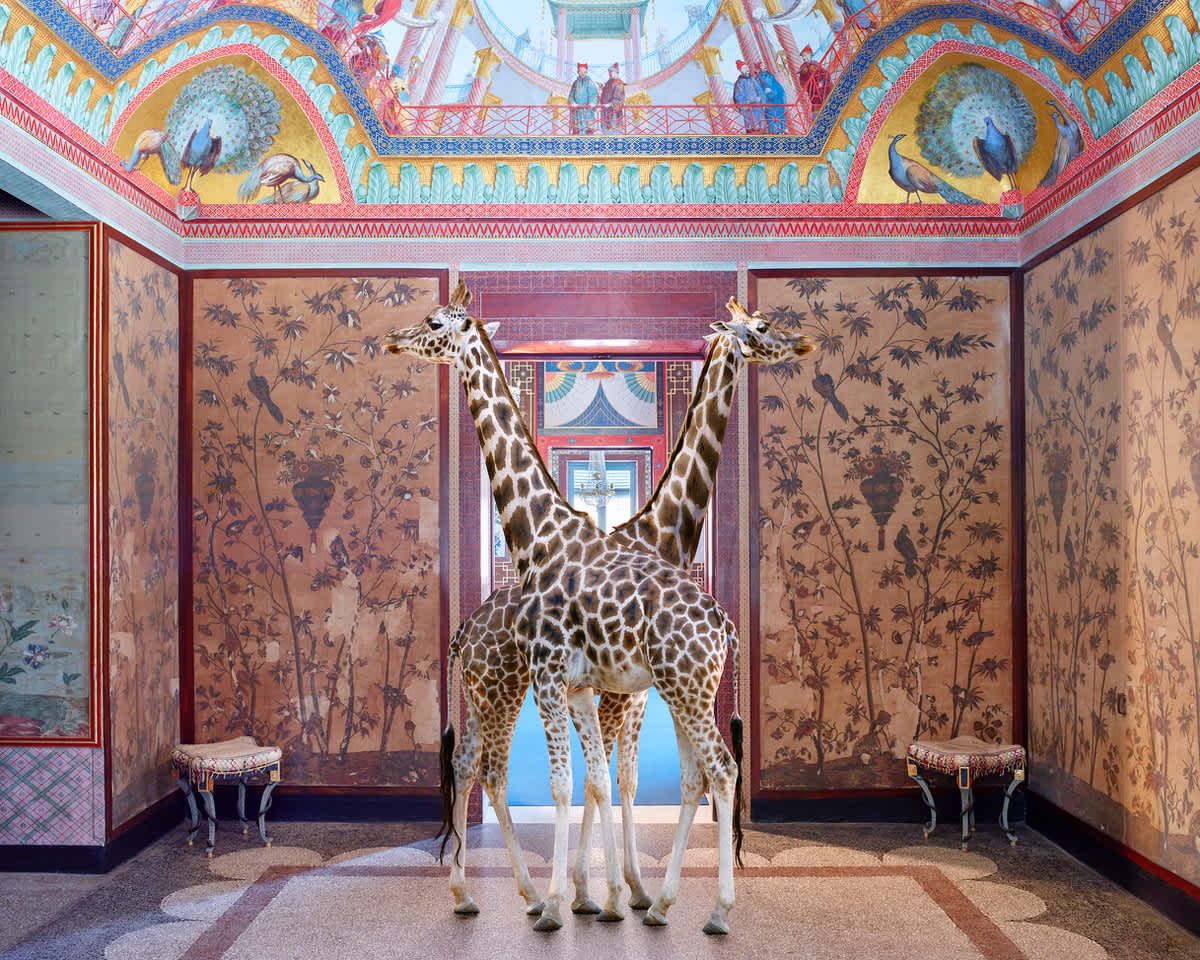 Karen Knorr, Brief Encounter, Palazzina Cinese, 2018