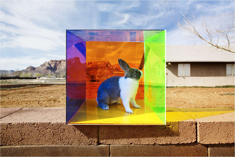 Tierney Gearon, Untitled (Bunny Box)