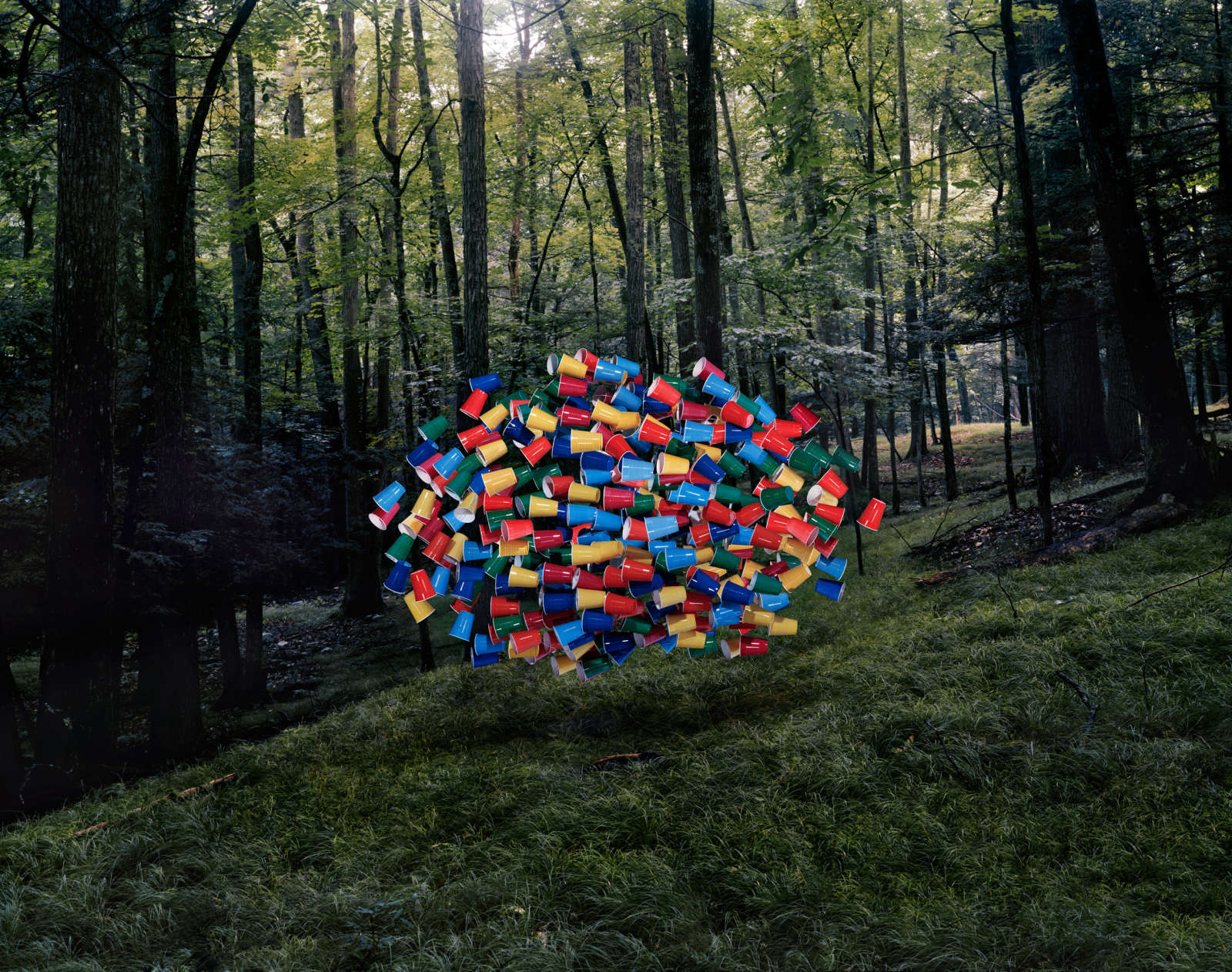 Thomas Jackson, Cups no. 1, Napanoch, New York, 2011