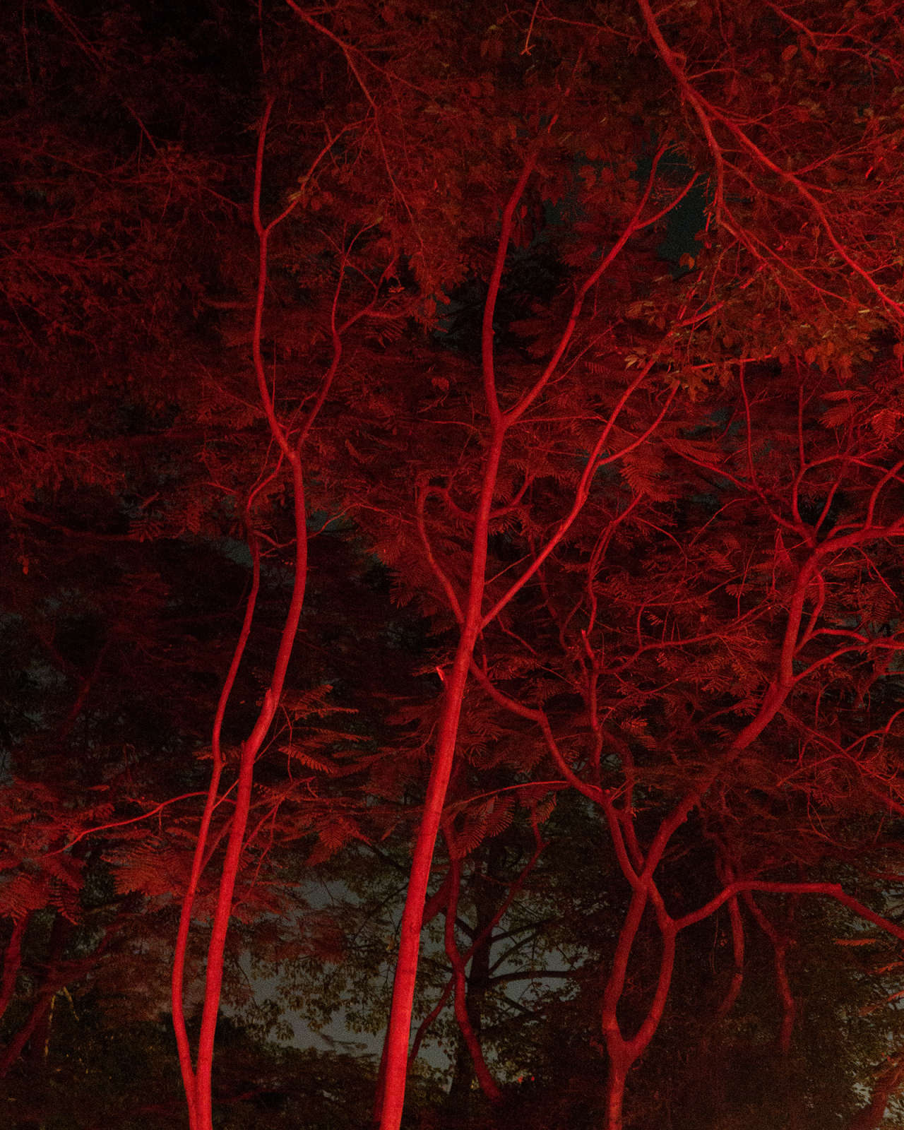 Untitled #7, 2017-2018