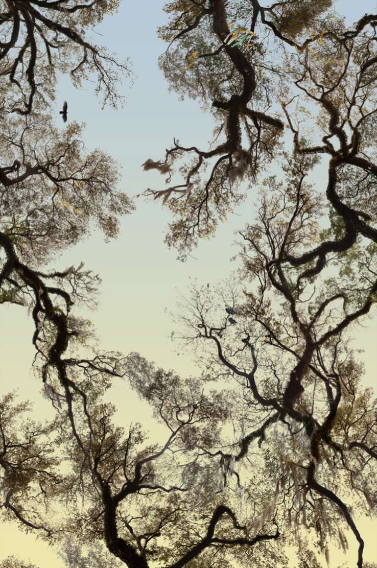 Fallen Fruit, Napolean Avenue, New Orleans, 2018