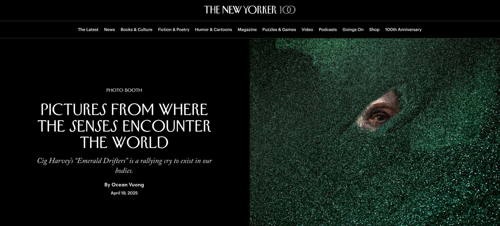 The New Yorker: Pictures from Where the Senses Encounter the World