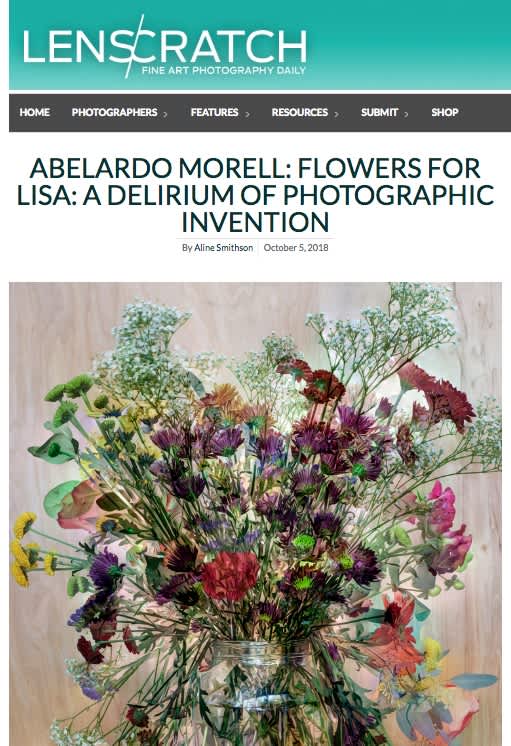 Abelardo Morell: Flowers For Lisa