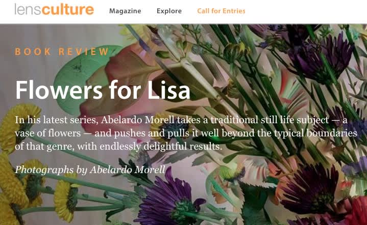 Book Review: Flowers For Lisa