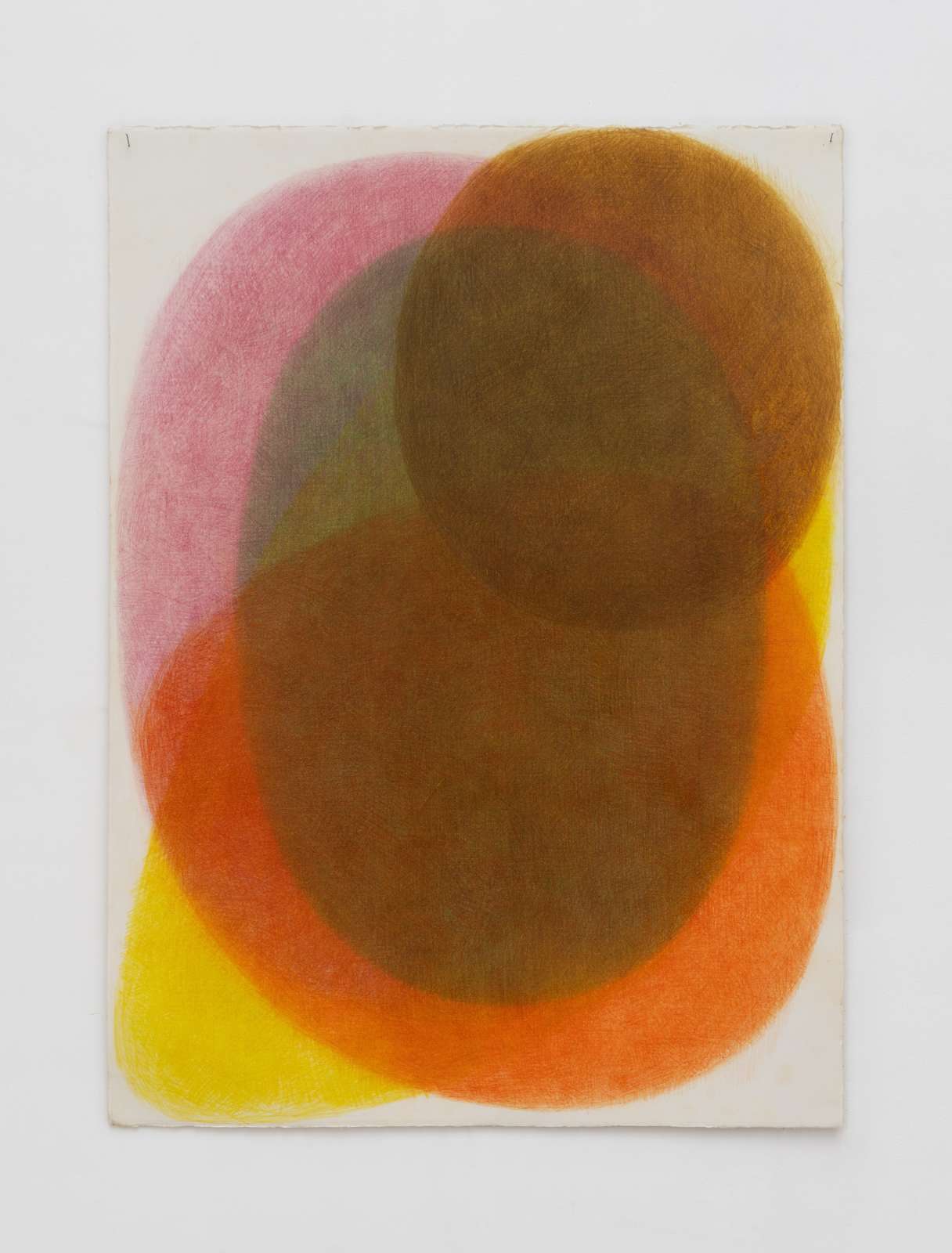 Margarita Gluzberg, 'Samtsvet 1', 2025, Colour pencils on paper, 77 x 56 cm